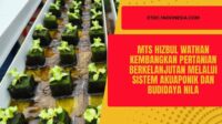 MTs Hizbul Wathan Kembangkan Pertanian Berkelanjutan melalui Sistem Akuaponik dan Budidaya Nila